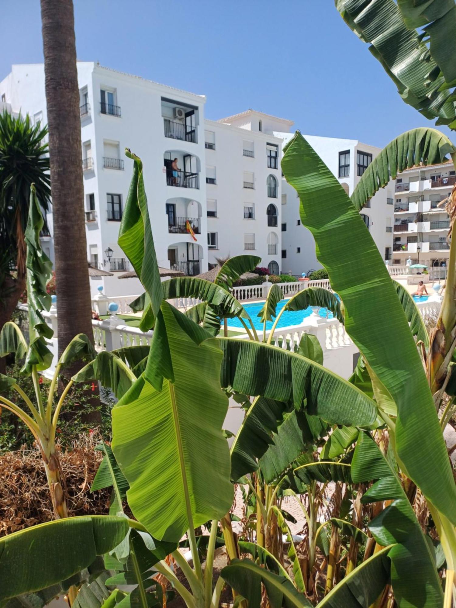 Beautiful Beachfront Newly Renovated 2 Bedroom Apartment With Swimming Pool And Garden San Luis de Sabinillas Eksteriør bilde