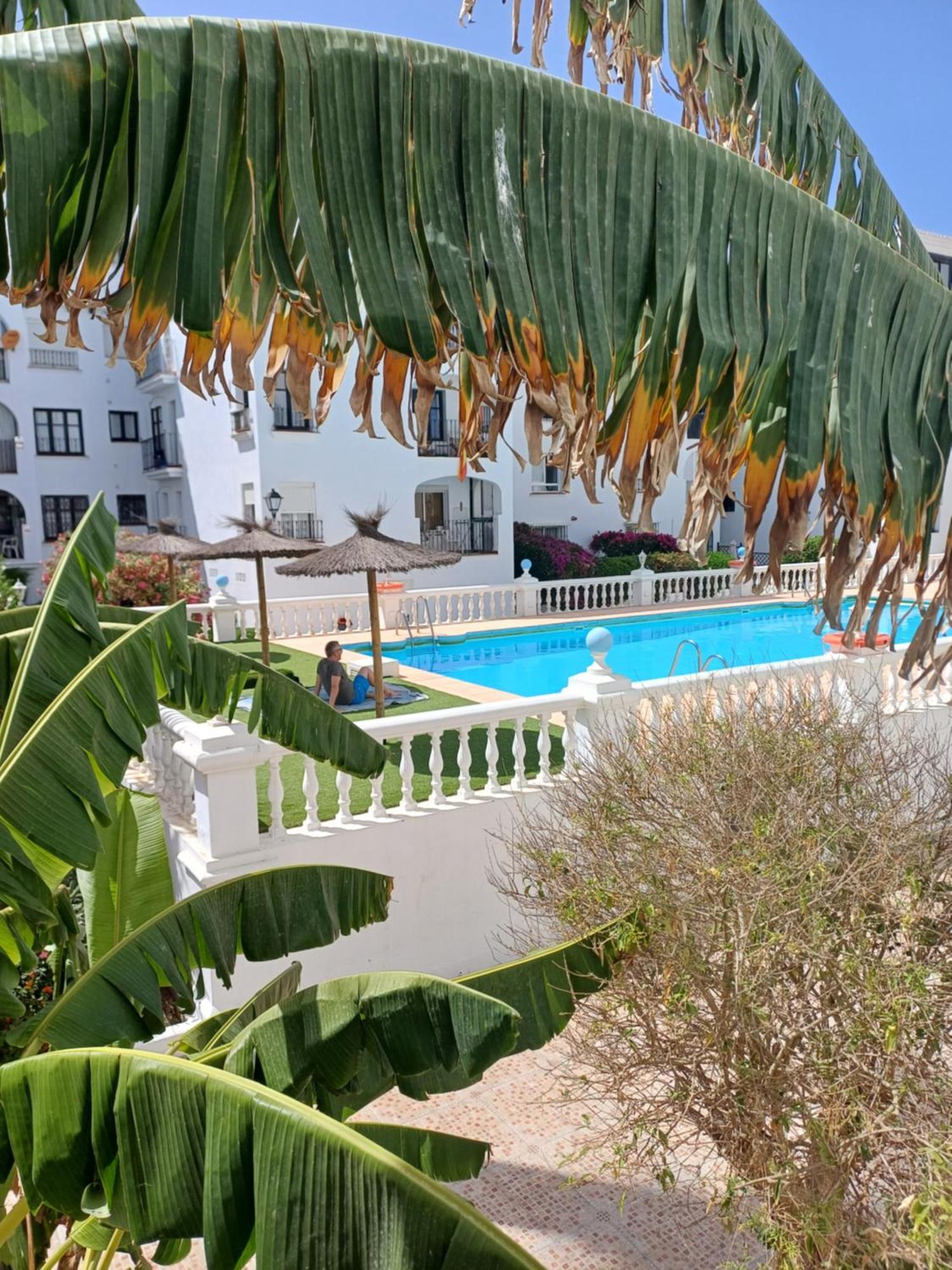 Beautiful Beachfront Newly Renovated 2 Bedroom Apartment With Swimming Pool And Garden San Luis de Sabinillas Eksteriør bilde